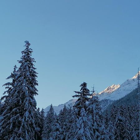 Ferienwohnung Mooshof Kaunertal Exterior foto